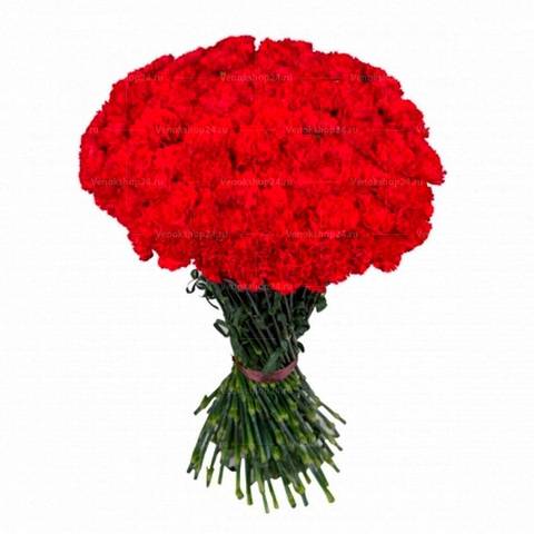 Букет из живых красных гвоздик