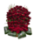 Ритуальная корзина из живых цветов 70 красных роз