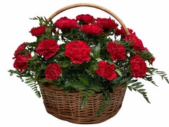 Корзины из гвоздик