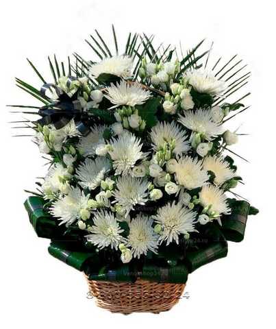 Корзина из живых цветов белые хризантемы и лизиантусы
