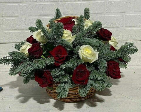 лапник доступен только зимой