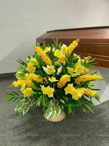 Лоза двухсторонняя