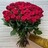 Траурный букет из 70 бордовых роз (70 см)