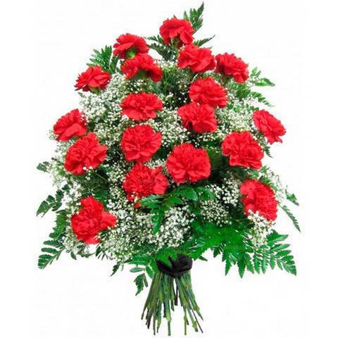 Букет из живых красных гвоздик с гипсофилами
