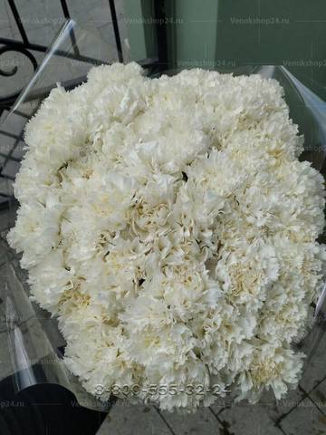 Букет из живых белых гвоздик