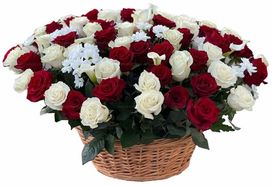 Ритуальная корзина из живых цветов 100 красных и белых роз, калл и хризантем