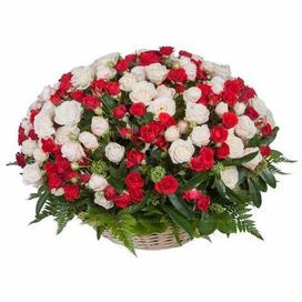 Ритуальная корзина из живых цветов 100 красных и белых кустовых пионовидных роз с папоротником