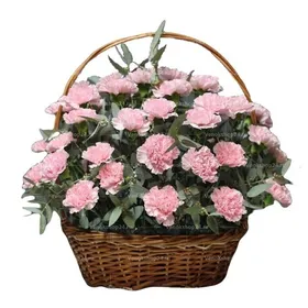 Ритуальная корзина из живых цветов 50 розовых гвоздик и эвкалипта