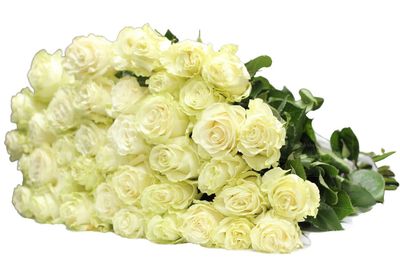 Траурный букет из 30 белых эквадорских роз