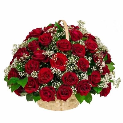 Ритуальная корзина из живых цветов 50 красных роз и гипсофил