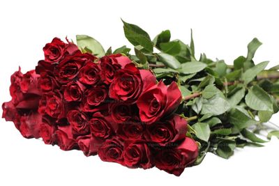 Траурный букет из 30 красных эквадорских роз