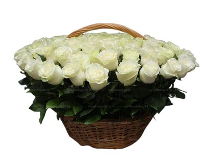 Ритуальная корзина из живых цветов 250 белых эквадорских роз