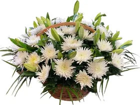 Ритуальная корзина из живых цветов 30 хризантем и лилии