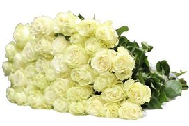 Траурный букет из 50 белых эквадорских роз
