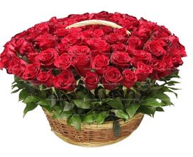 Ритуальная корзина из живых цветов 100 красных эквадорских роз