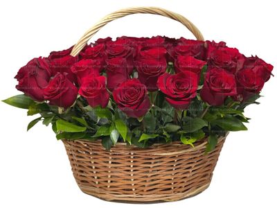 Ритуальная корзина из живых цветов 50 красных эквадорских роз