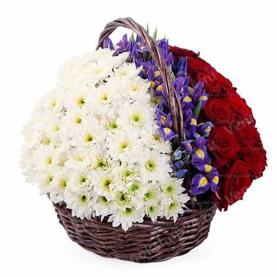Ритуальная корзина из живых цветов 30 красных роз, 30 белых хризантем и ирисы