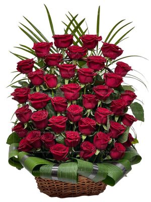 Ритуальная корзина из живых цветов 40 красных роз