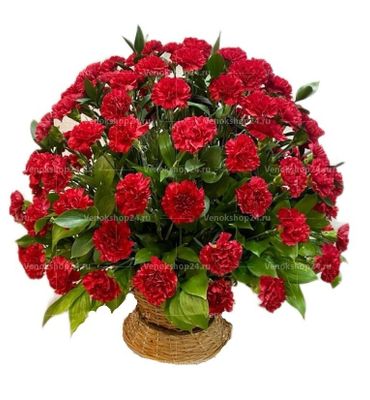 Ритуальная корзина из живых цветов 100 красных гвоздик