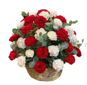 Ритуальная корзина из 50 красно-белых гвоздик и эвкалипта