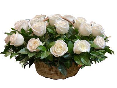 Ритуальная корзина из живых цветов 30 белых эквадорских роз