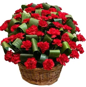 Ритуальная корзина из живых цветов 50 красных гвоздик с зеленью