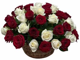 Ритуальная корзина из живых цветов 50 красных и белых роз