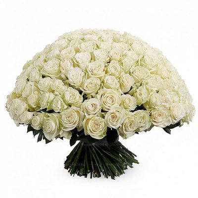 Траурный букет из 100 белых роз (70см)