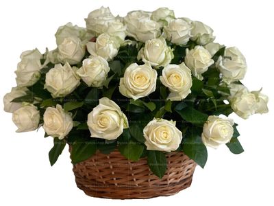 Ритуальная корзина из живых цветов 50 белых роз