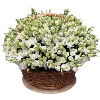 Ритуальная корзина из живых цветов 100 эустом