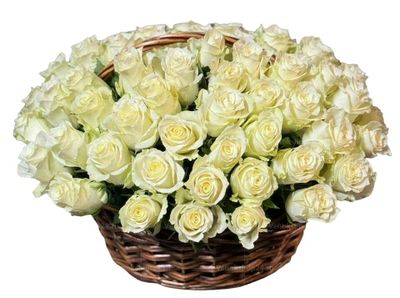 Ритуальная корзина из живых цветов 70 белых роз