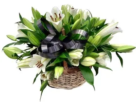 Ритуальная корзина из живых цветов 16 белых лилий