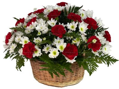 Ритуальная корзина из живых цветов красных гвоздик и кустовых хризантем
