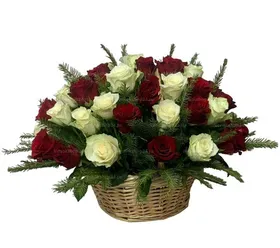 Ритуальная корзина из живых цветов 30 красных и белых роз и хвои