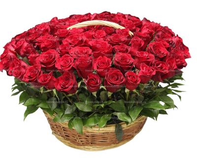 Ритуальная корзина из живых цветов 200 красных эквадорских роз