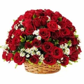 Ритуальная корзина из живых цветов 50 красных роз и ромашек