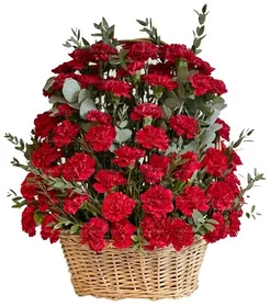 Ритуальная корзина из живых цветов 100 красных гвоздик