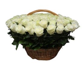 Ритуальная корзина из живых цветов 100 белых эквадорских роз