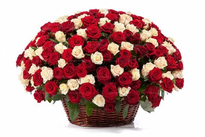Ритуальная корзина из живых цветов 100 красных и белых роз