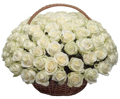 Ритуальная корзина из живых цветов 100 белых роз