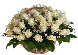 Ритуальная корзина из живых цветов 50 белых роз и ромашек