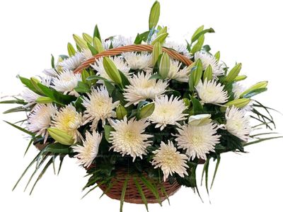 Ритуальная корзина из живых цветов 30 хризантем и лилии