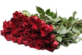 Траурный букет из 50 красных эквадорских роз